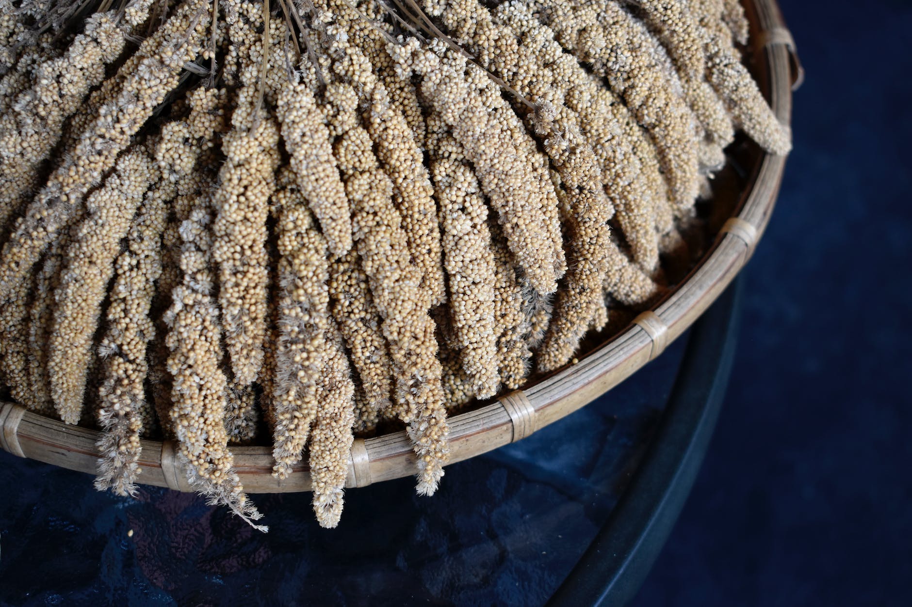 brown millet sticks on a winnower