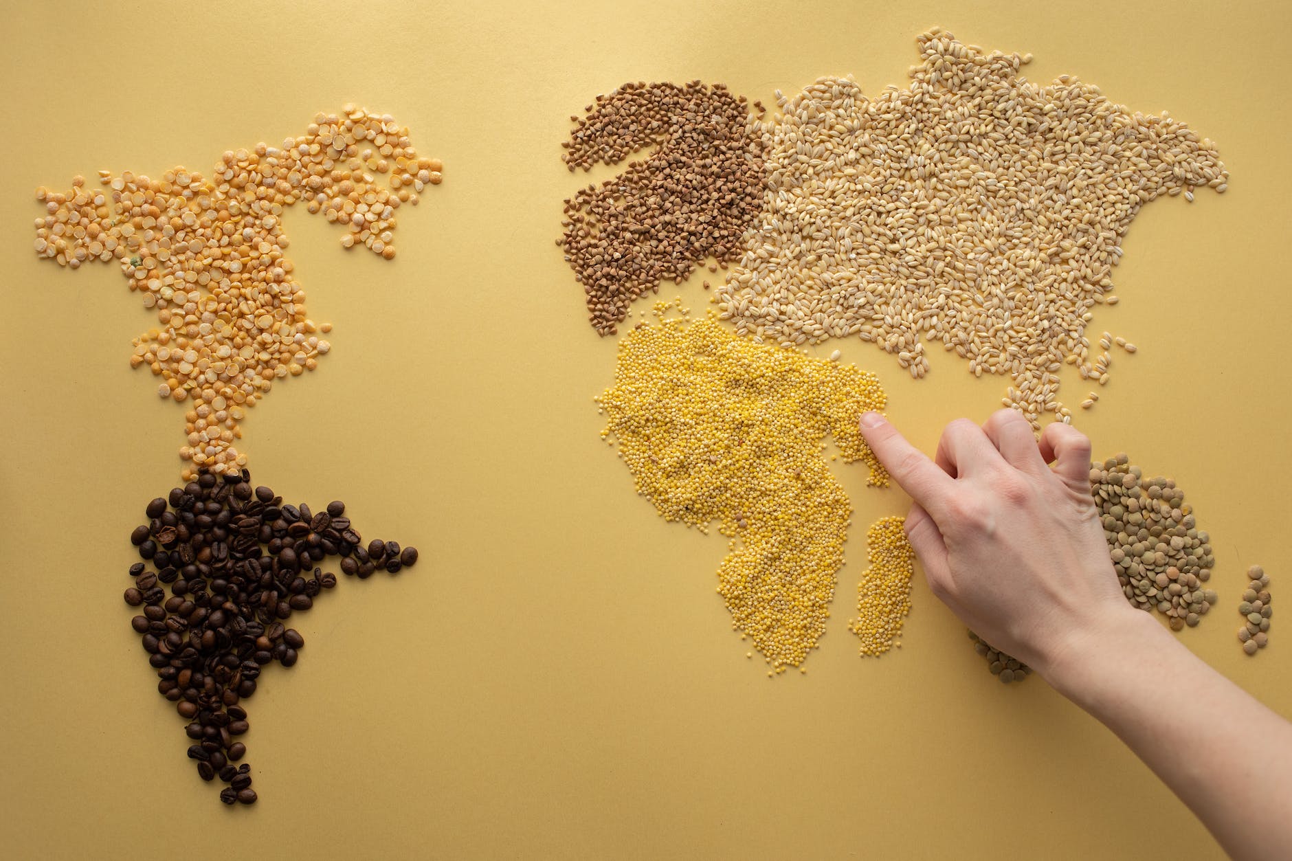 anonymous person making world map with cereals and coffee beans