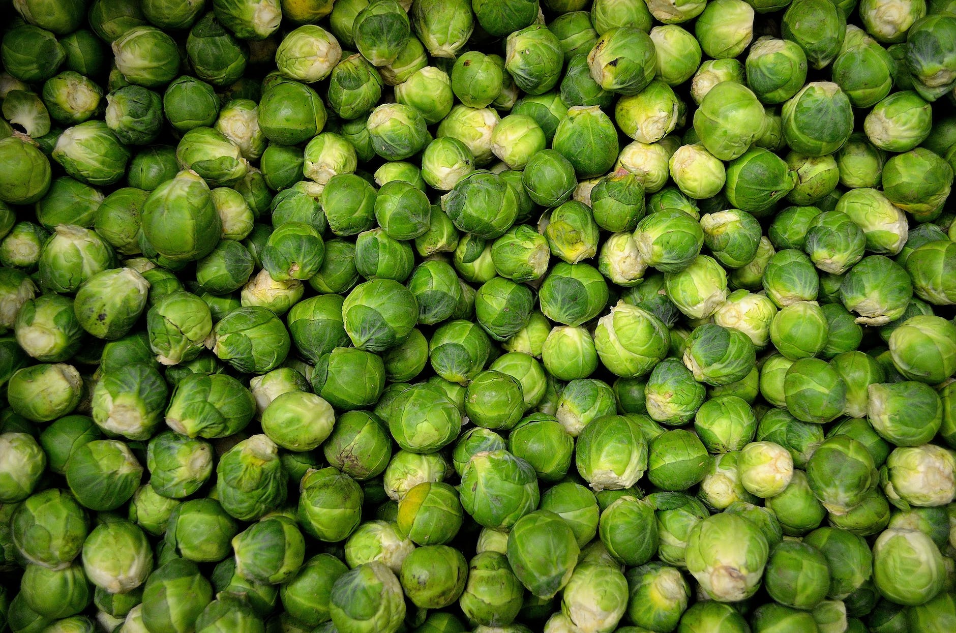 green round vegetables