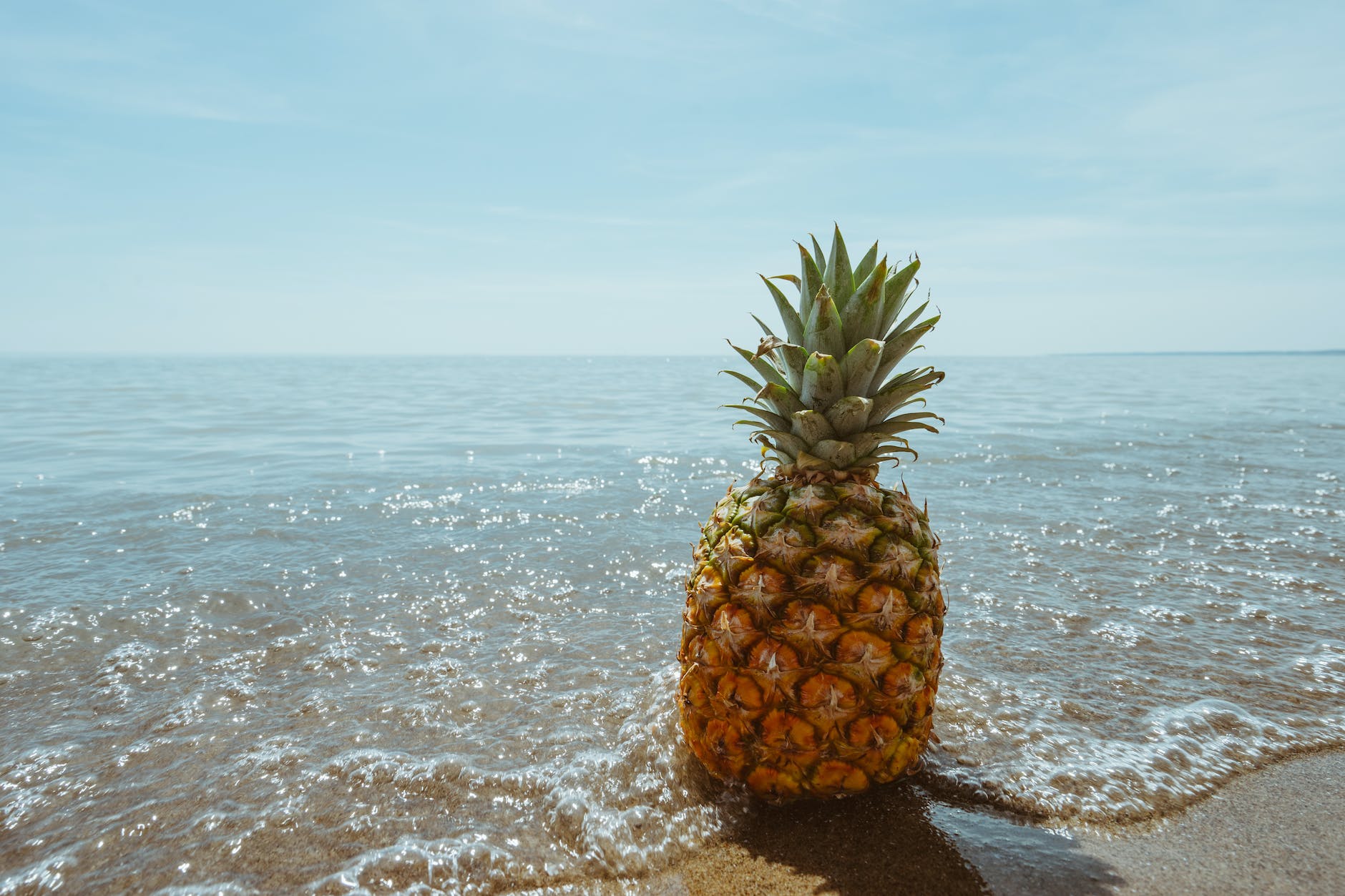 pine apple on beach