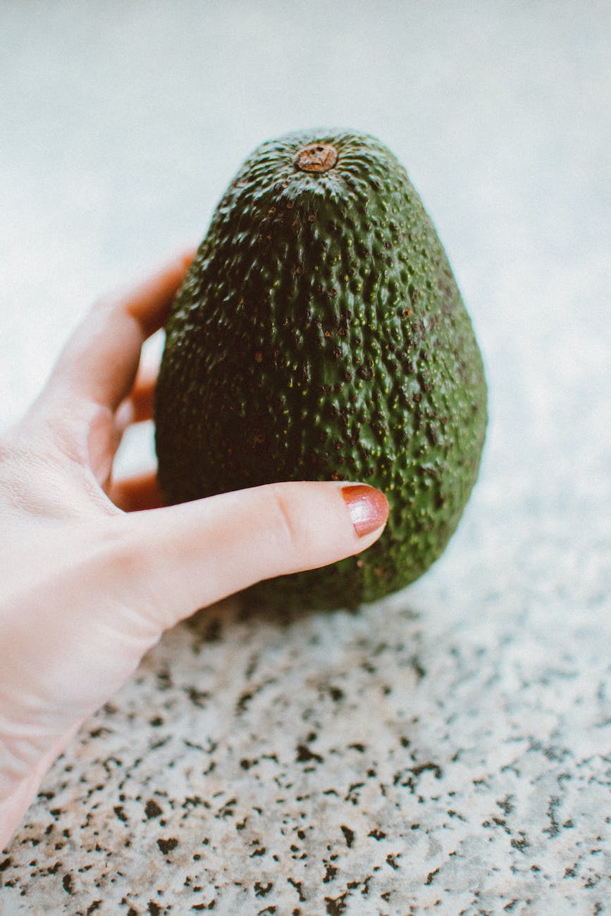 green avocado fruit