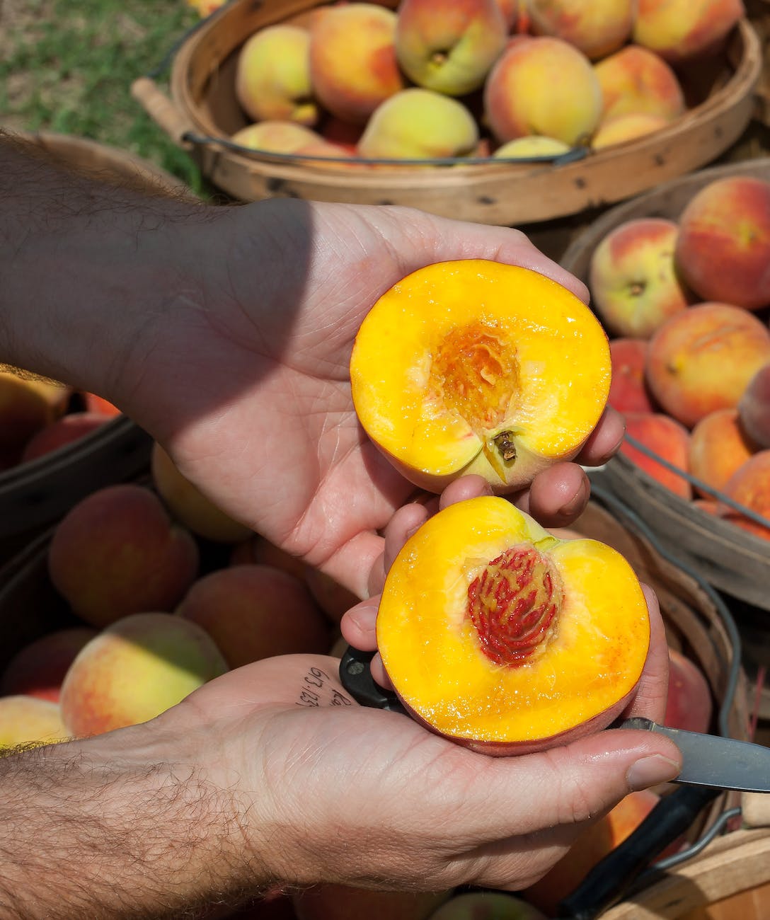 person holding red and yellow fruit