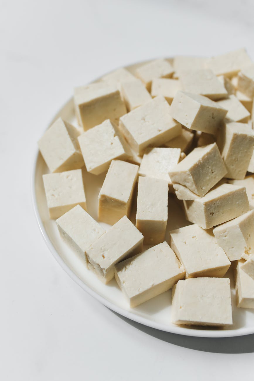 photo of tofu on white ceramic plate