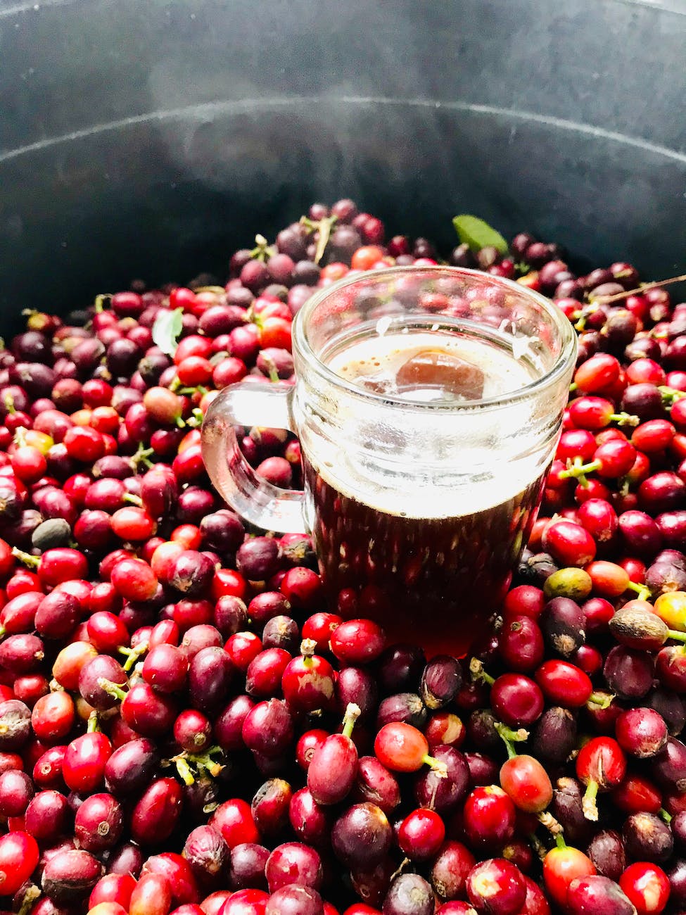 fresh cranberry juice in a glass mug