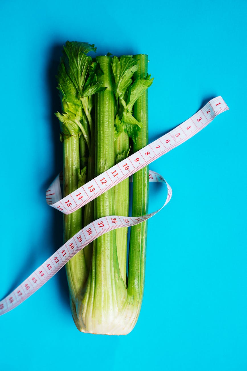 green celery on blue background