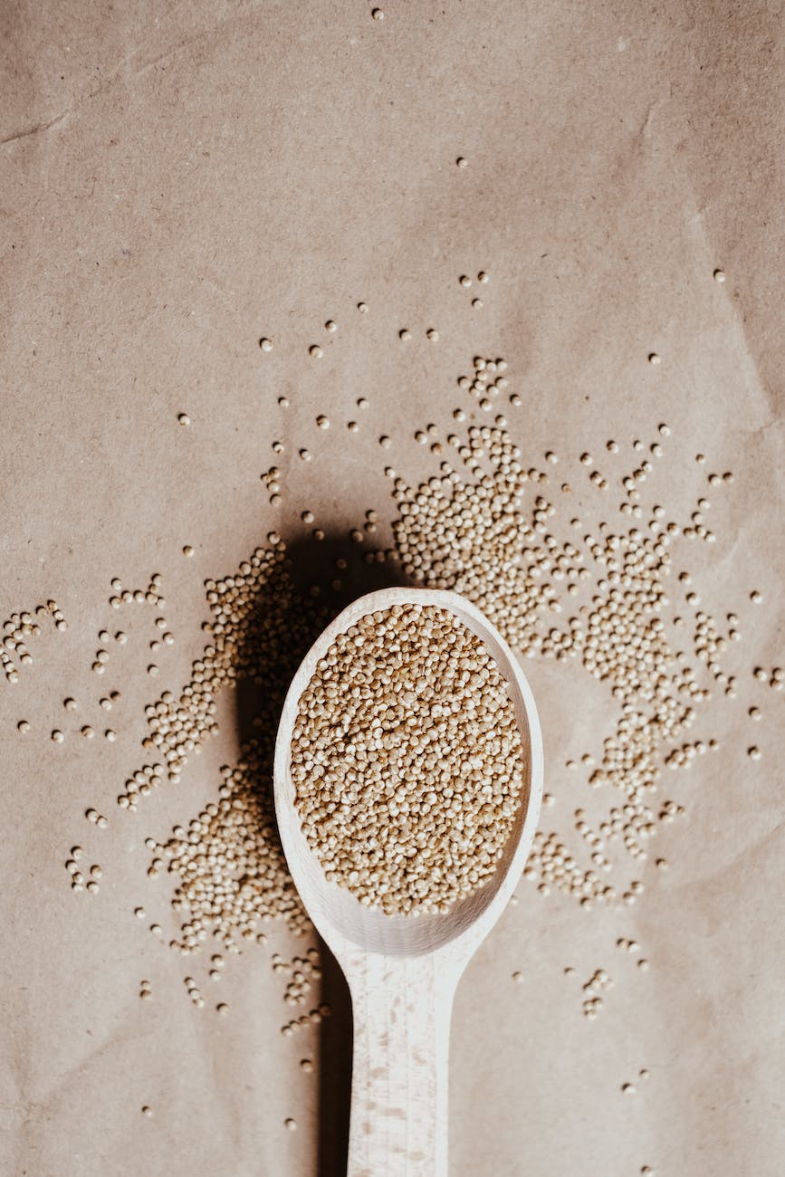 quinoa grains on a spoon