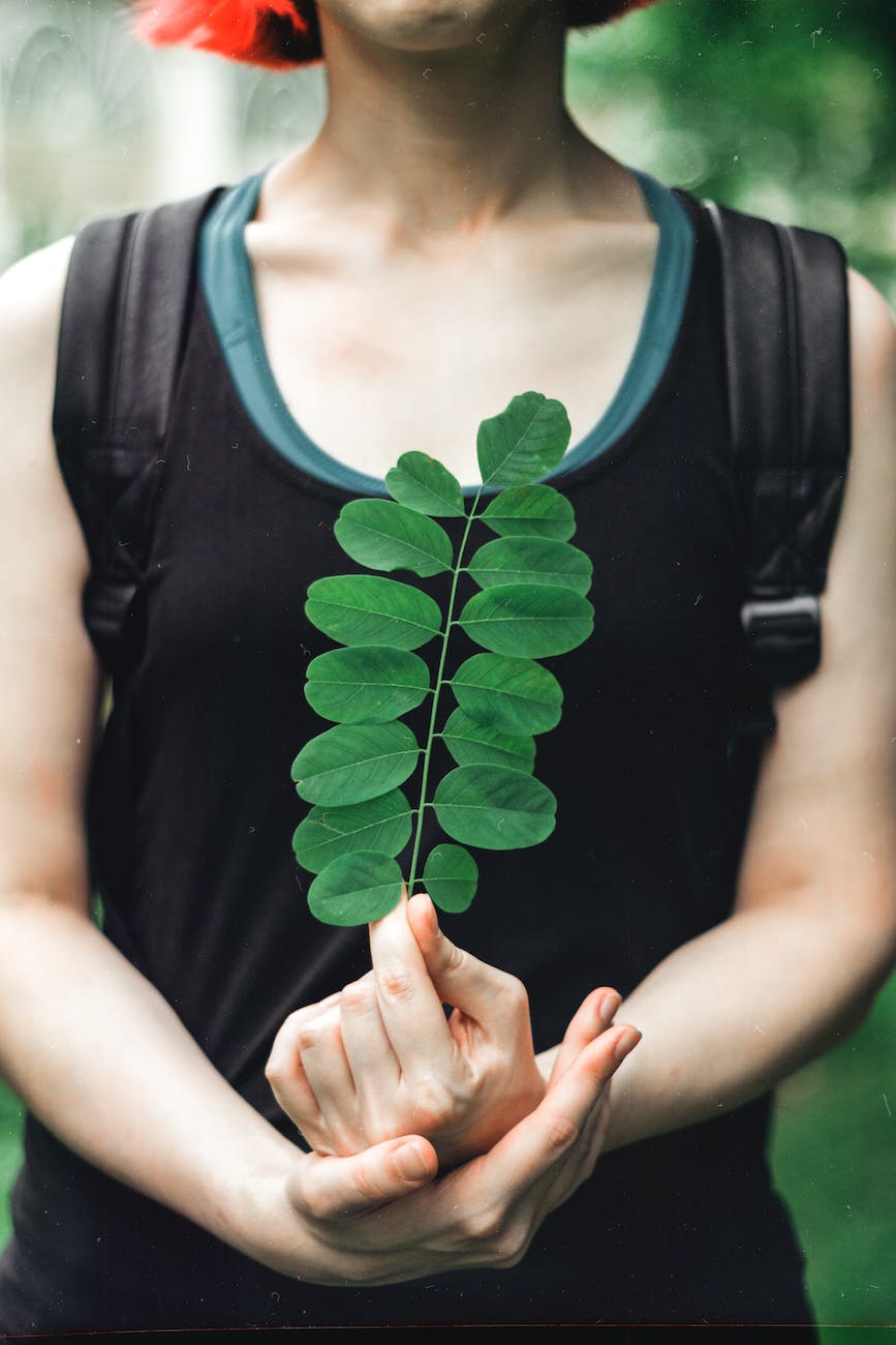 person holding a stem with green leaves