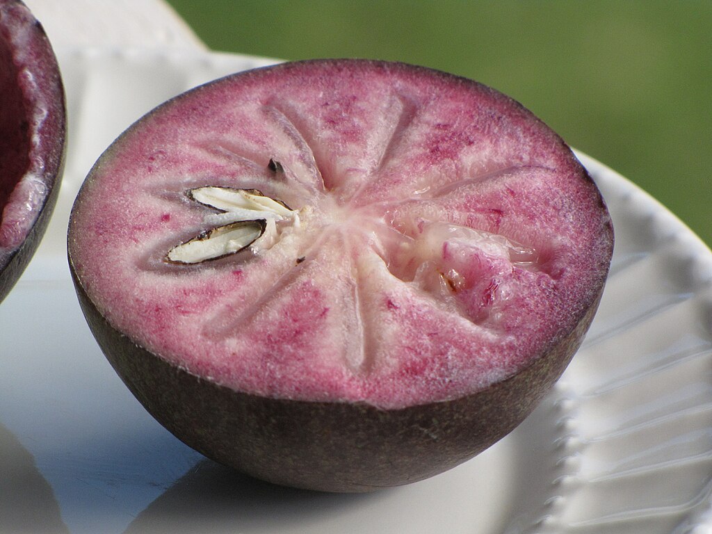 Chrysophyllum Fruits,